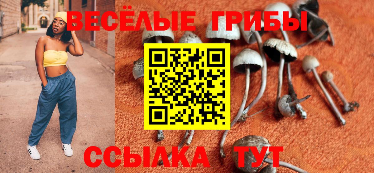 Псилоцибиновые грибы мухоморы Воркута